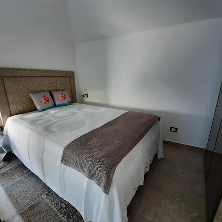 Palms Luxury