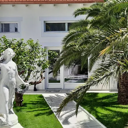 Palms Luxury