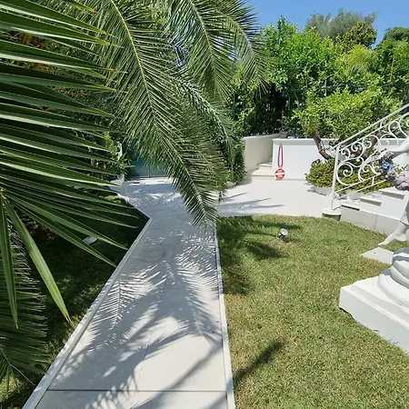 Palms Luxury Penzion *